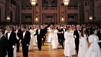 vienna_ball